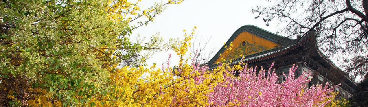 博鱼综合体育app平台帮助中心